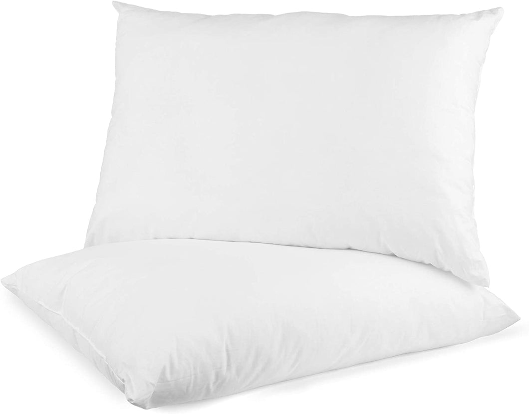 Set of Two 100% Cotton Pillows